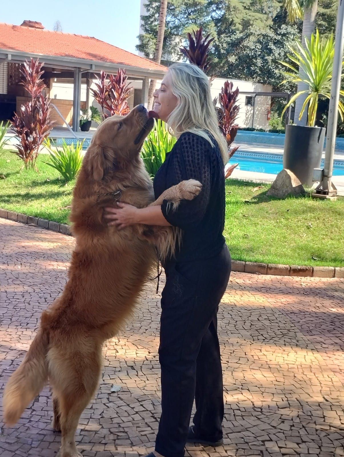 Dra. Graziela Chagas — veterinária em domicílio em Araraquara